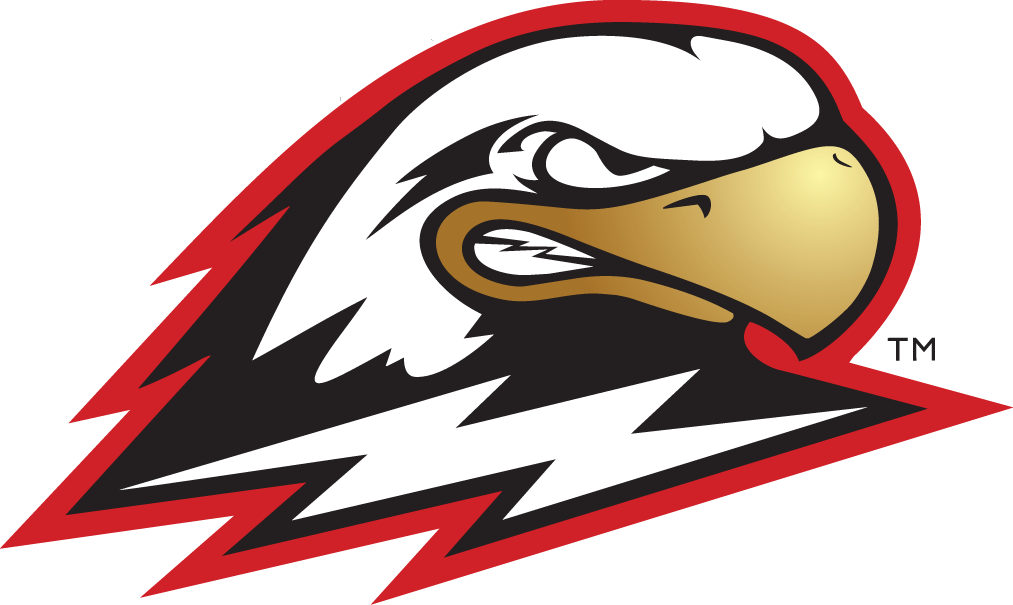 Southern Utah Thunderbirds 2002-Pres Secondary Logo diy fabric transfers